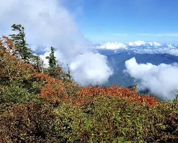 지리산 국립공원_29