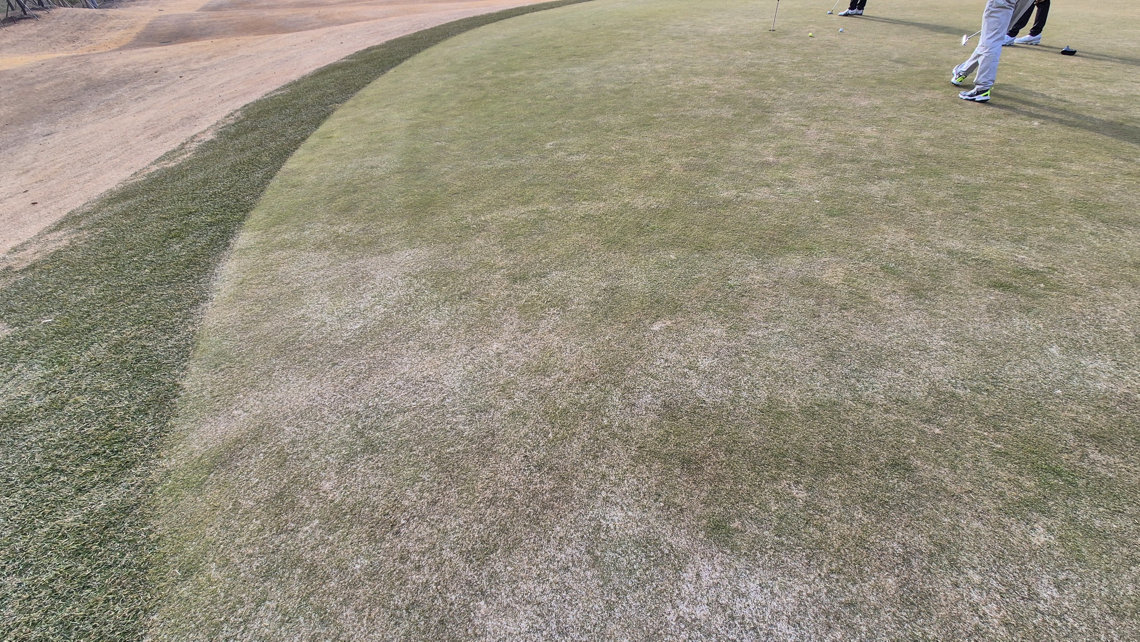 모나크cc 라운드 후기 그린관리상태