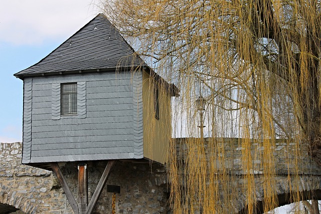 개인통관번호 조회 및 발급