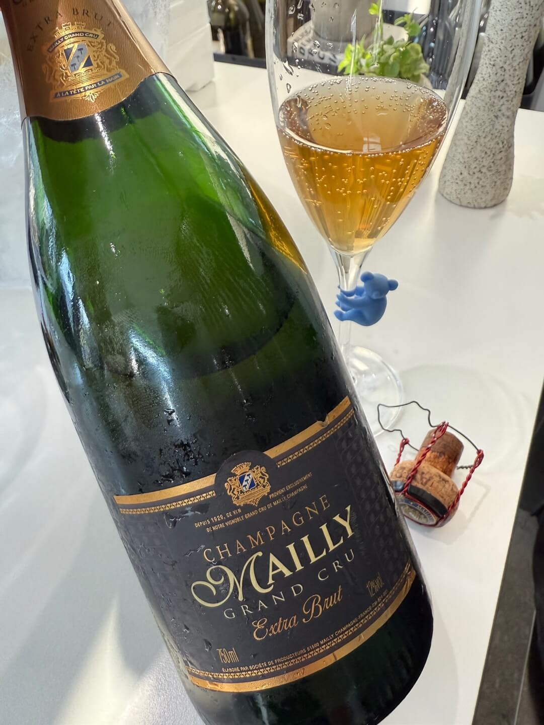 [France] Mailly Grand Cru Extra Brut, Montagne de Reims, Champagne｜마이 그랑 크뤼 엑스트라 브뤼, 몽타뉴 드 랭스, 샹파뉴