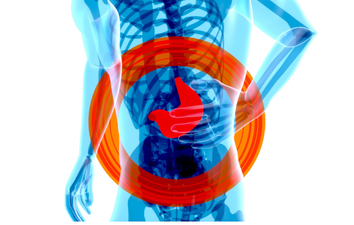 영지 버섯 효능 : 간