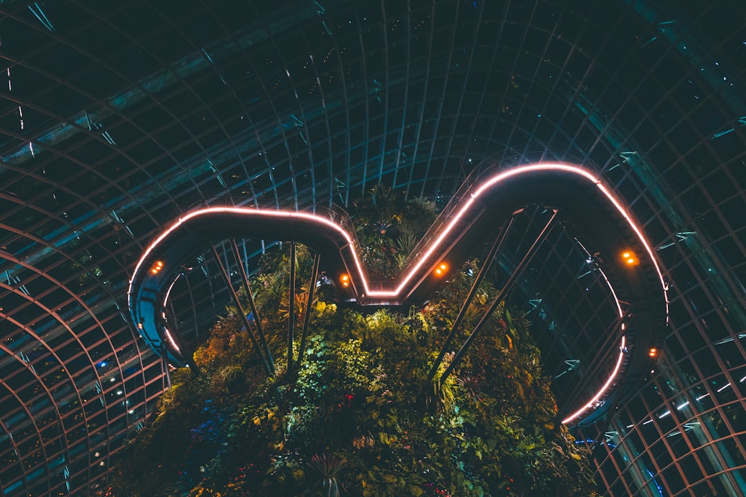 attractions