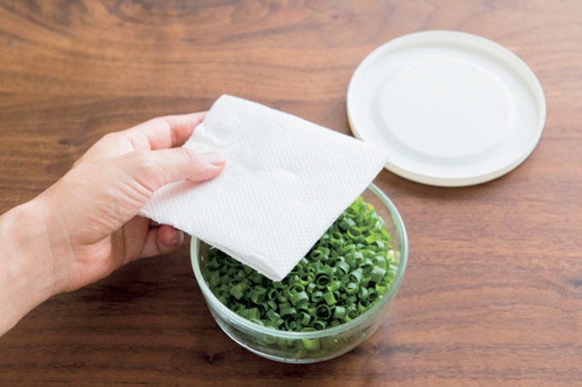 쪽파 보관법 냉장고 실파 보관법