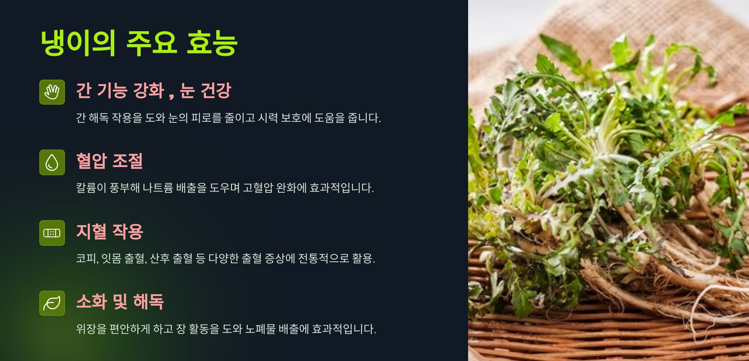 냉이의 주요 효능