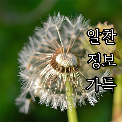 2025 원주시 산후조리비 지원 대상..