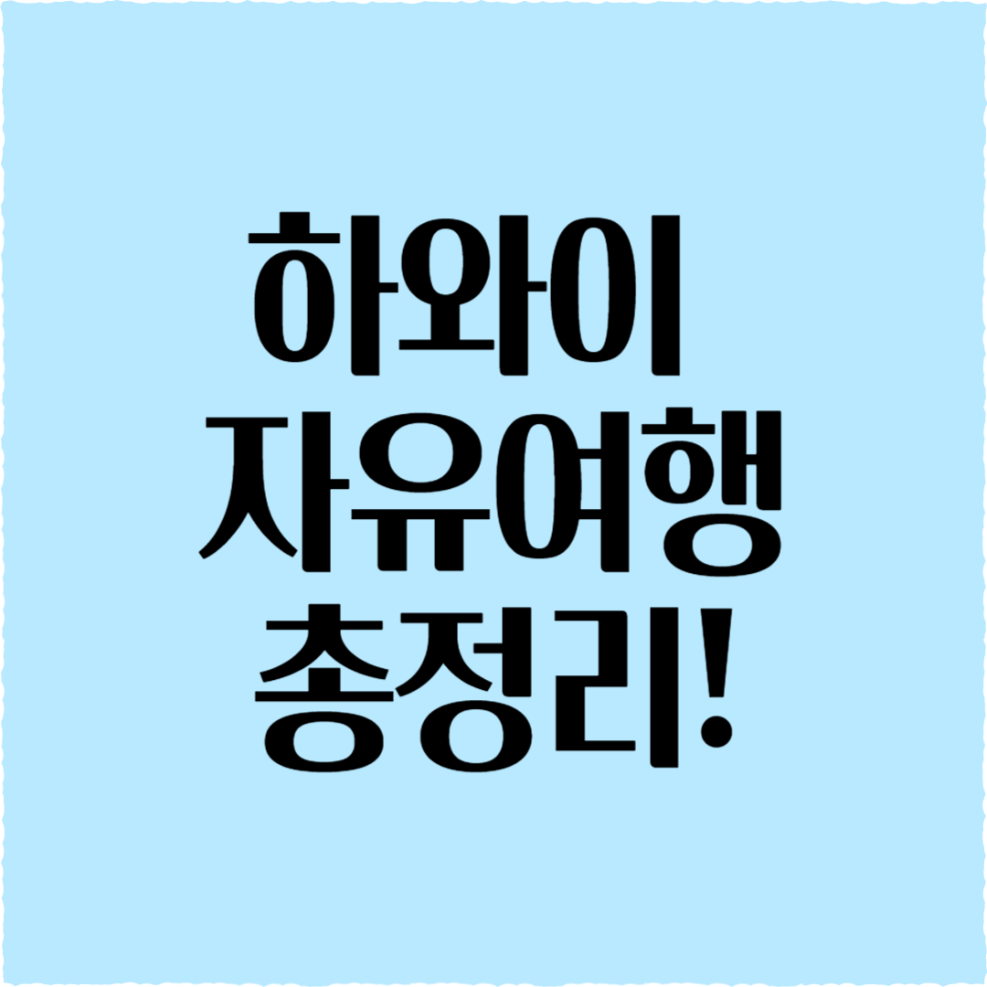 하와이 자유여행: 항공부터 렌터카까지, 모든 것 총정리!
