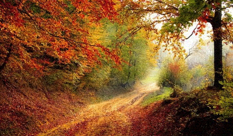 갱년기증상30가지