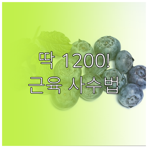 1200칼로리 단백질 식단표와 근육 ..