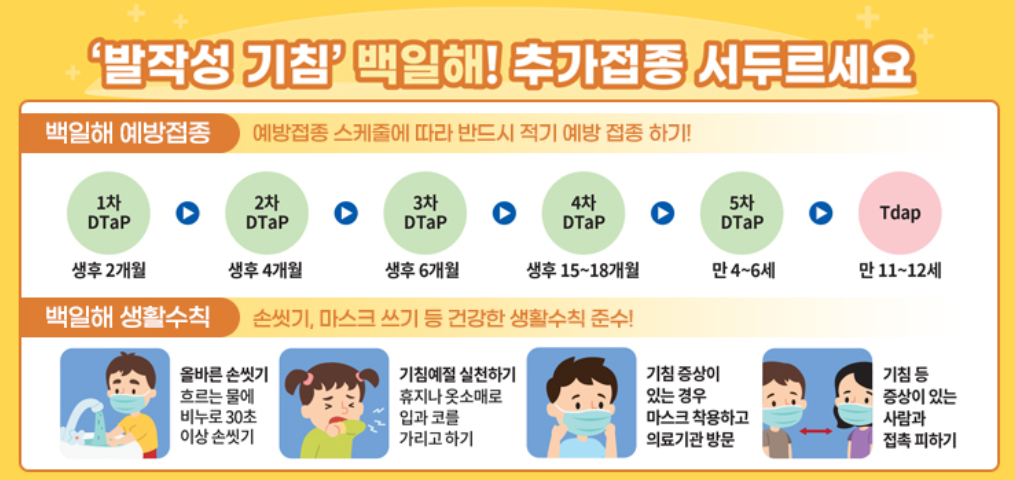 성인 백일해 예방접종 1