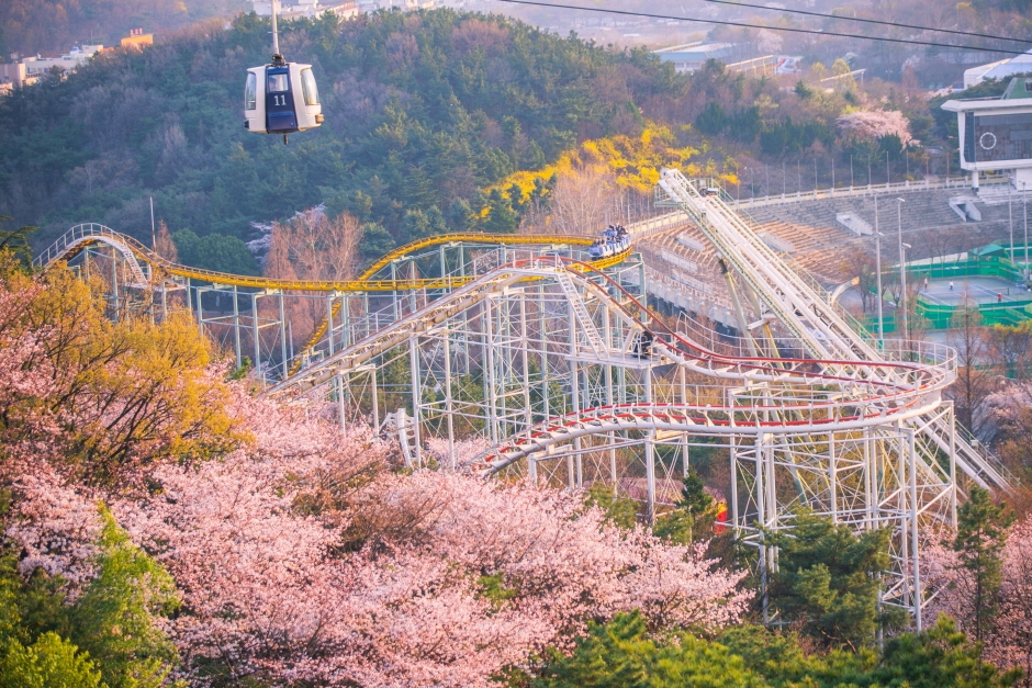 이월드 (대구)