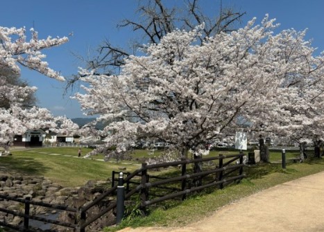 봄 여행지 추천