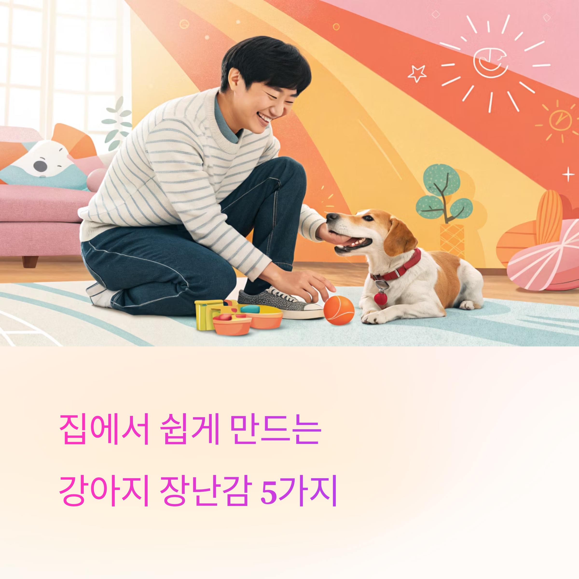 집에서도 쉽게 만드는 강아지 장난감 BEST 5