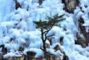 청송-가볼만한곳