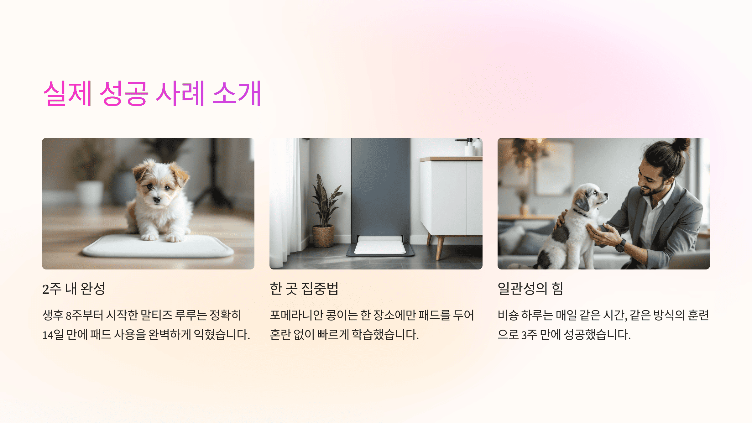 강아지 배변 훈련 실제 성공 사례 소개