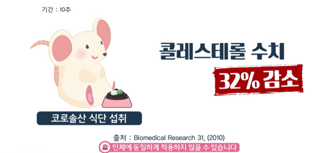 바나바잎 효능