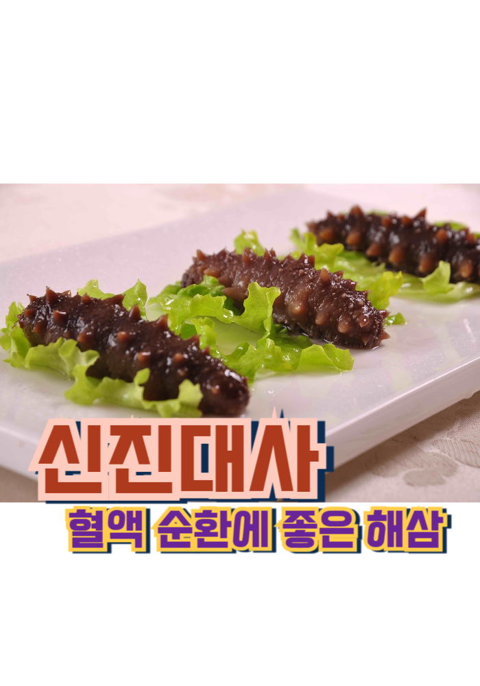 1.신진대사 혈액 순환에 좋은 해삼