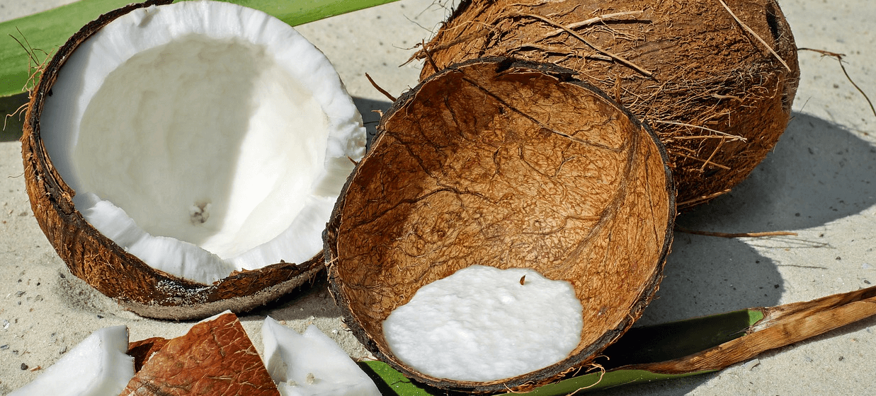 코코넛 사진 - 2