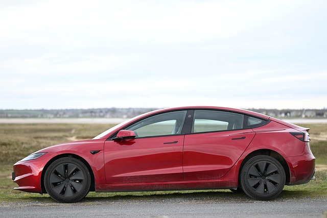 One of the first things that people who own cars should check is the &quot;car tax.&quot;