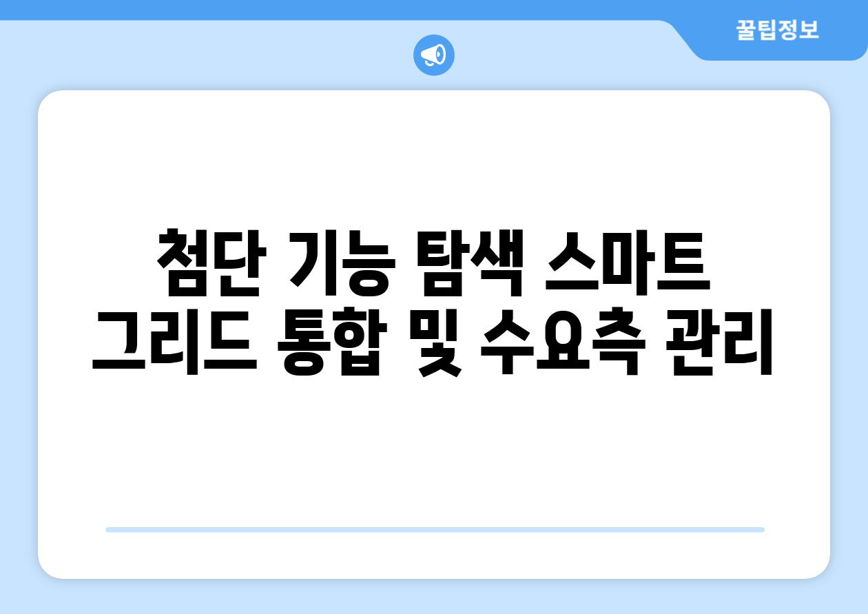 첨단 기능 탐색 스마트 그리드 통합 및 수요측 관리