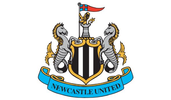 뉴캐슬 로고