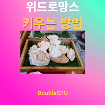 위드로망스 키우기 물주기