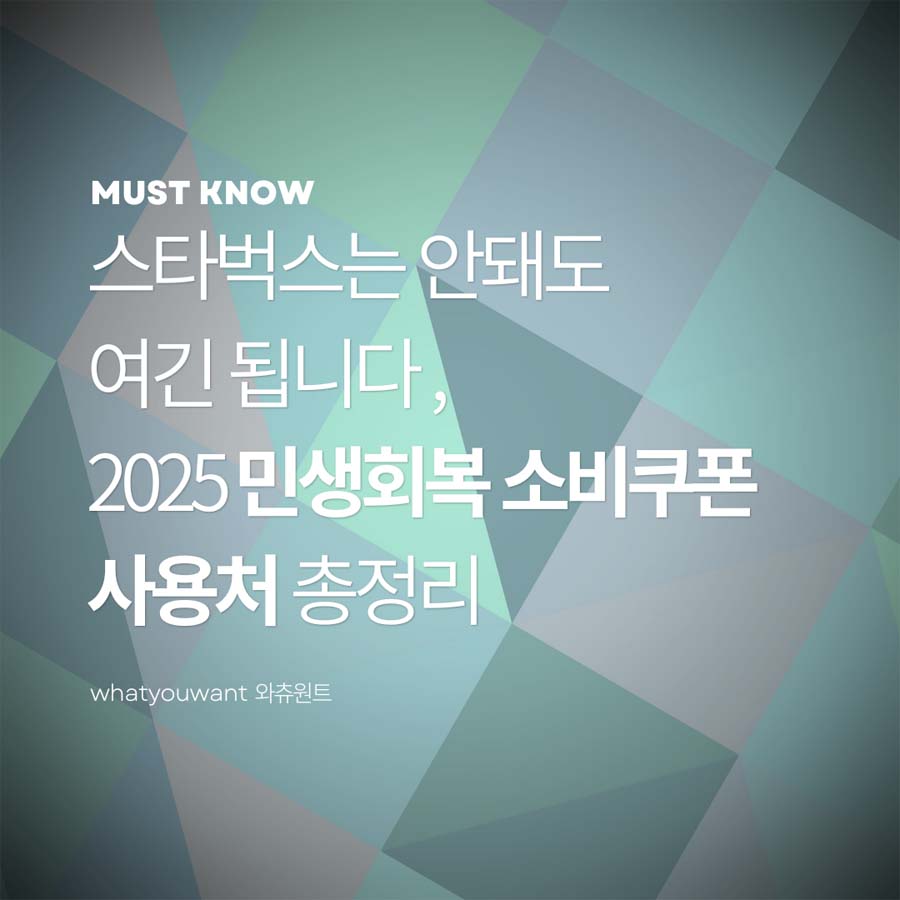 2025 소비쿠폰 사용처 궁금증 정리