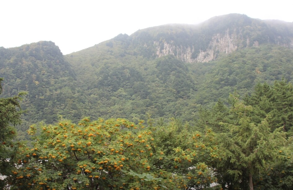 울릉도여행 울릉도배편 울릉도크루즈 울릉도 공항