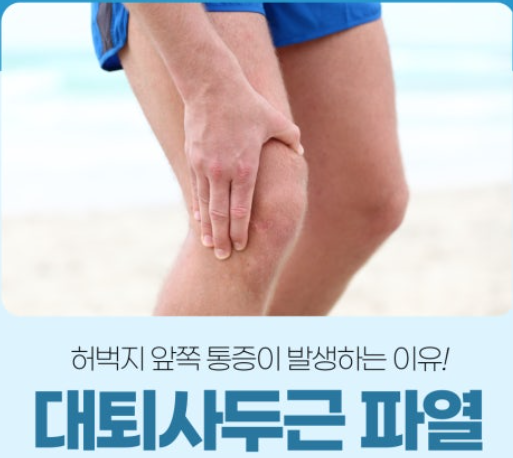 대퇴사두근 강화를 통한 무릎 관절 보호 관련 이미지