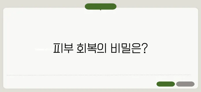 마데카프라임 크림 효능과 피부 개선 효과