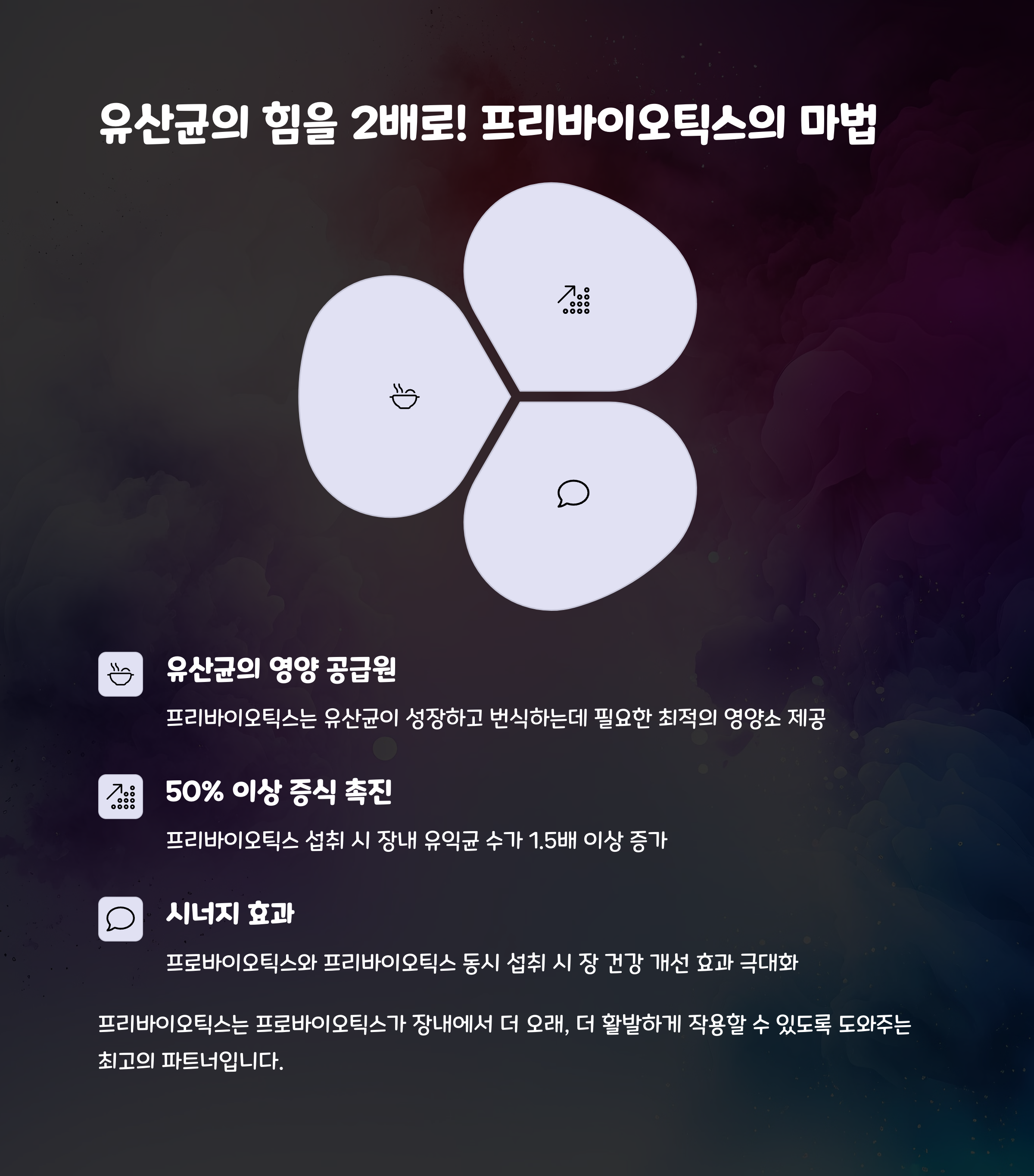 프리바이오틱스의 역할과 시너지 효과를 보여주는 그래픽, 유산균 증식과 영양 공급 시각적 강조