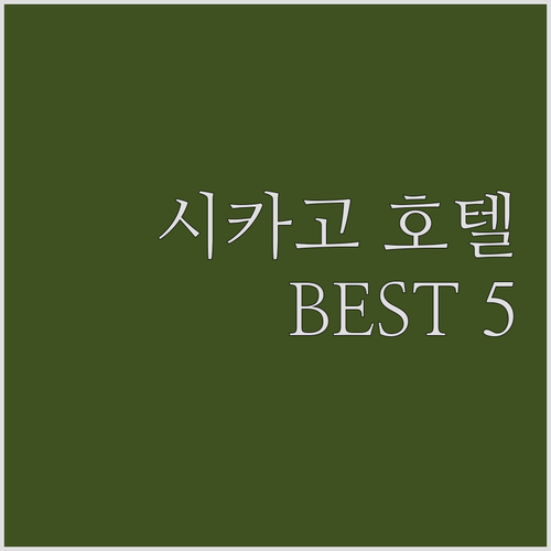 시카고 인기 호텔 추천 BEST 5 ..