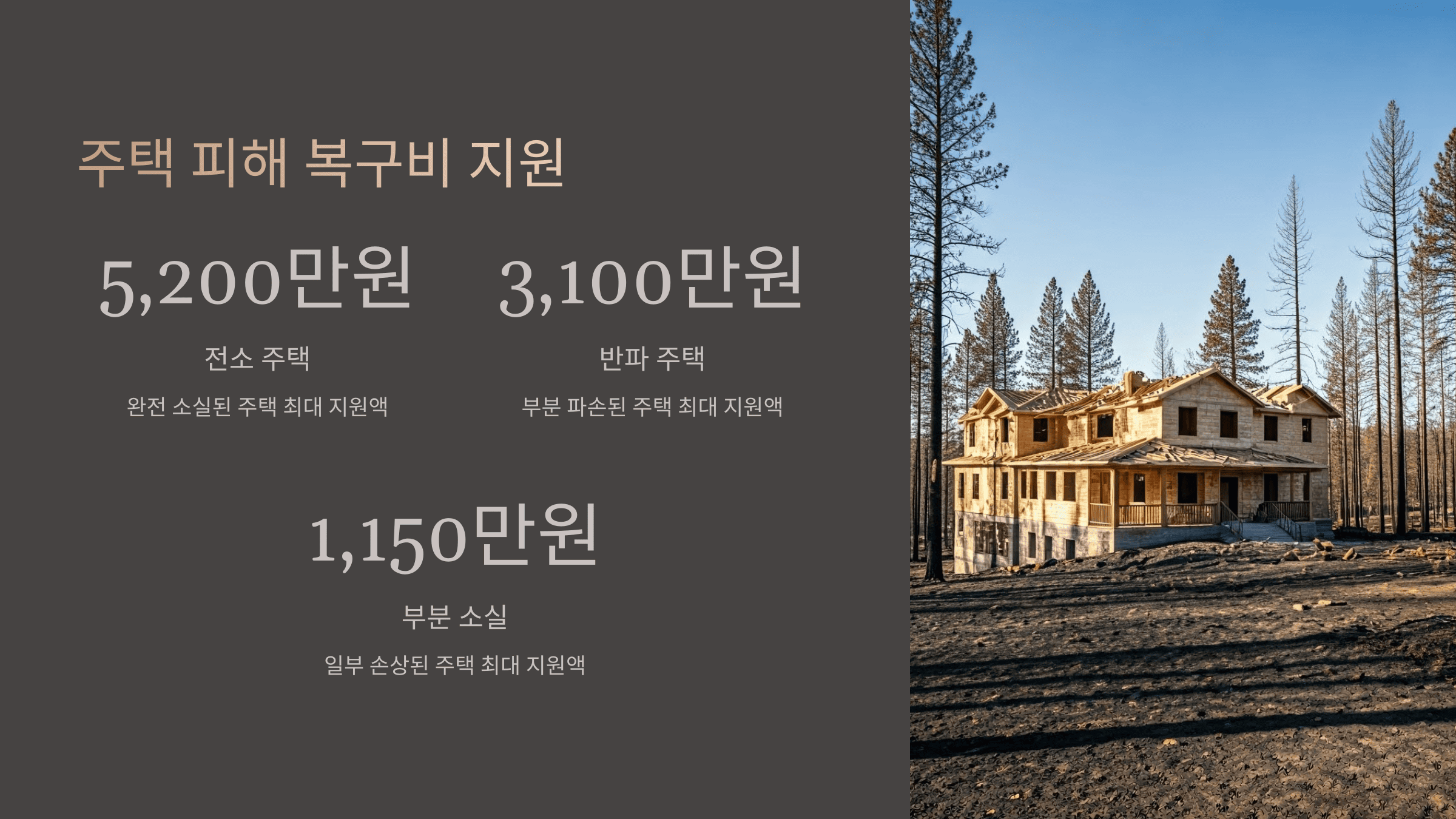 불 피해 지원, 정부&middot;민간 혜택 총정리!