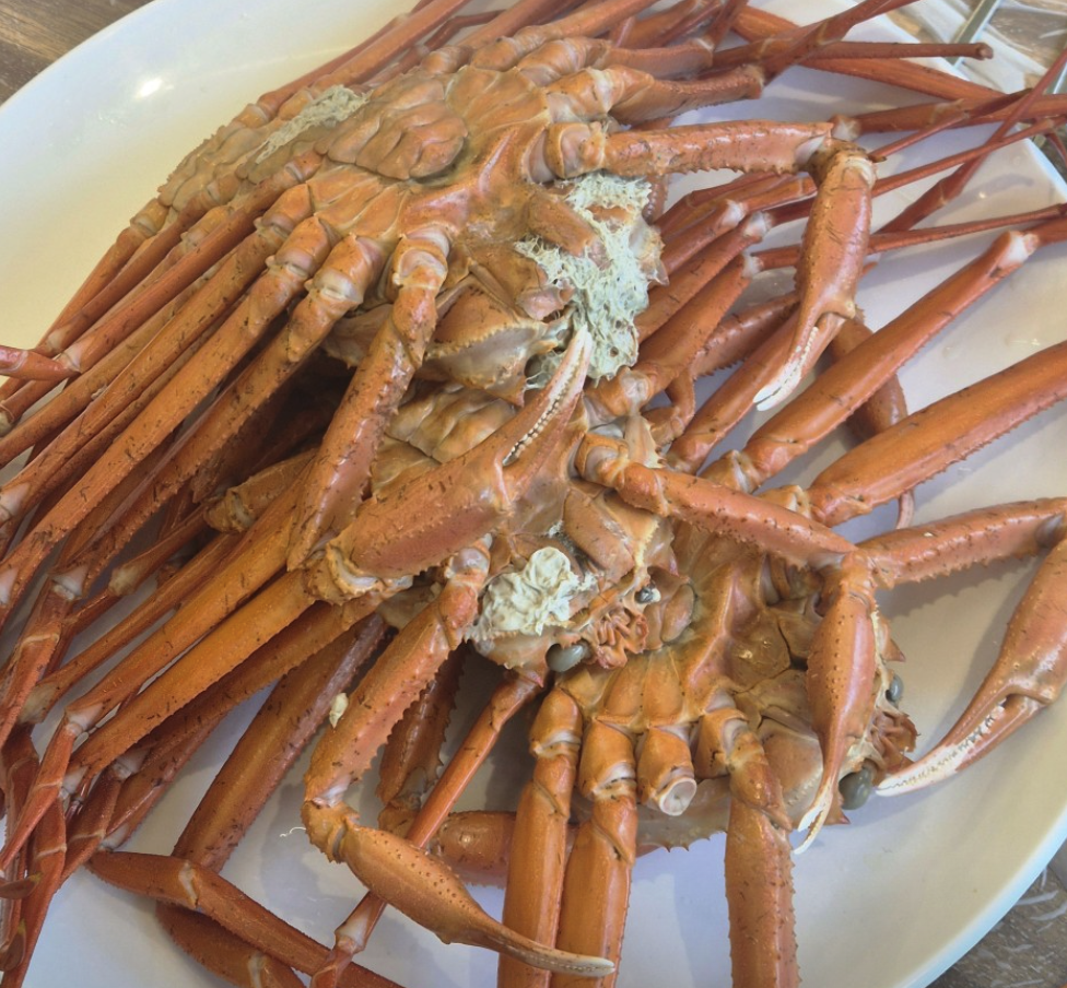 6시 내고향 강원 속초 홍게 무한리필 창백호선장네