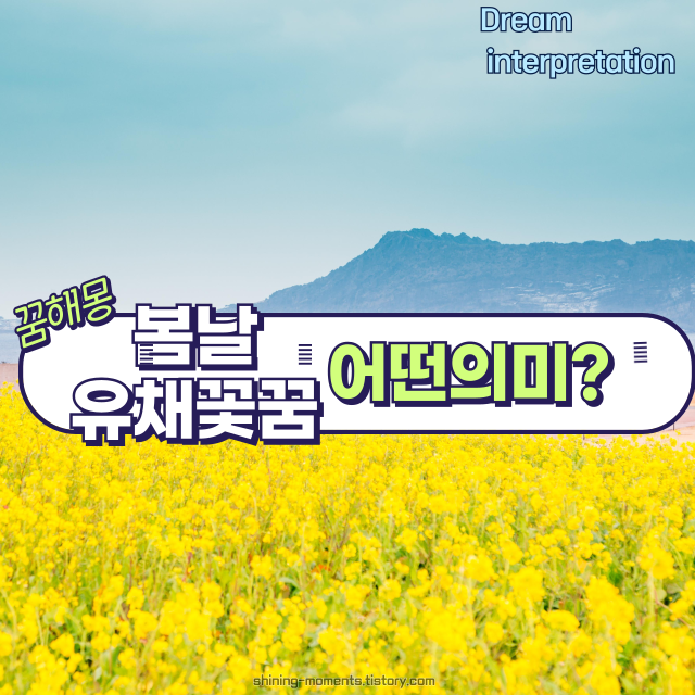 🌼 봄날 유채꽃 꿈 해몽 20가지 – 노란 희망의 메시지