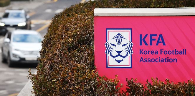 문체부 대한축구협회 감사 홍명보 대표팀 감독