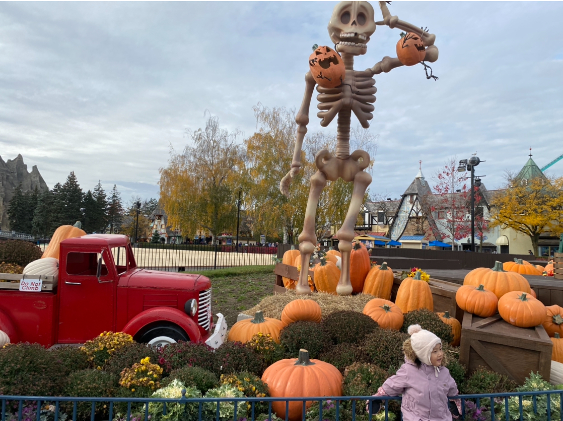 원더랜드 할로윈 시즌권.