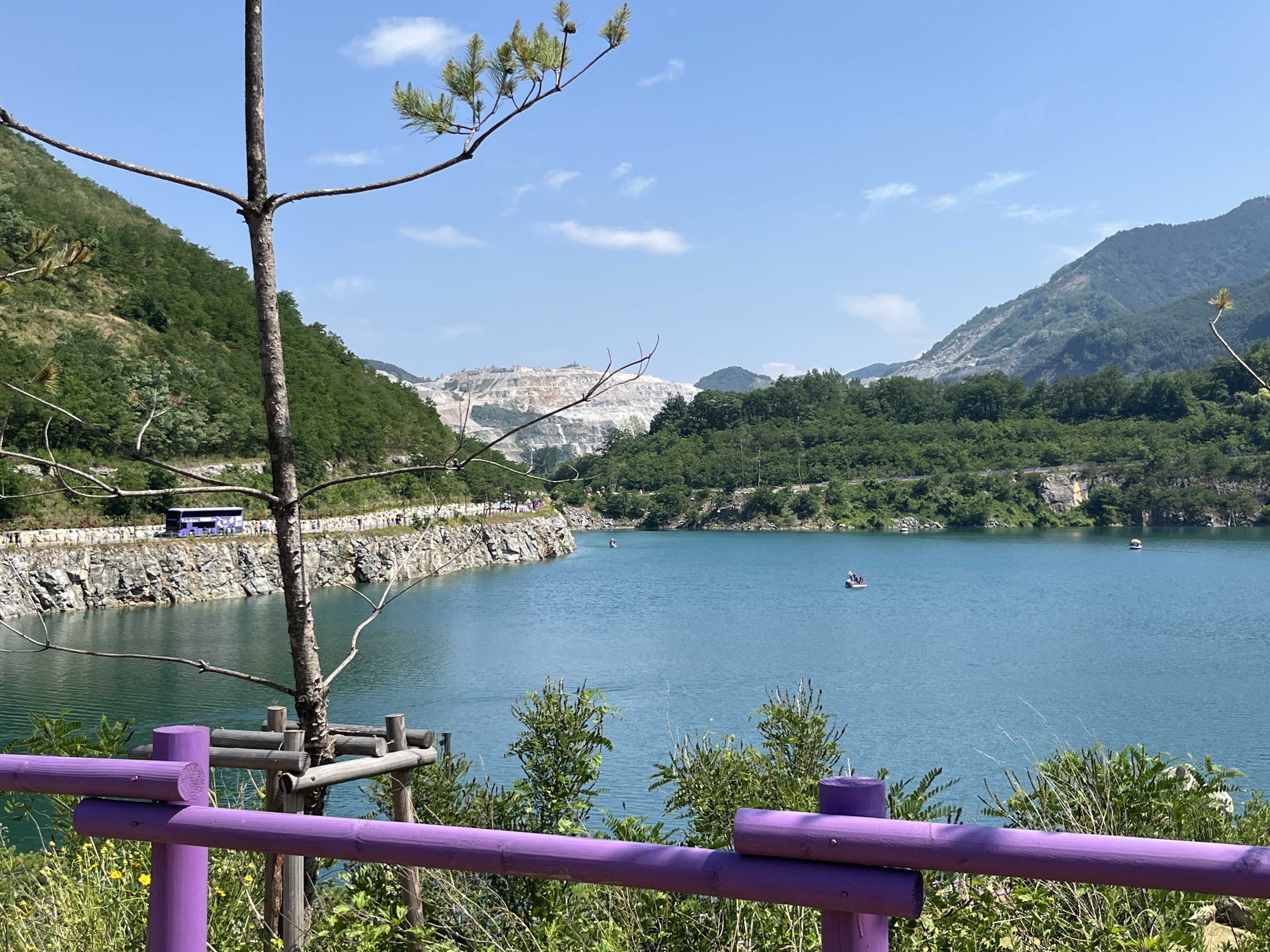 무릉별유천지 라벤더