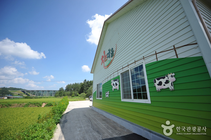 임실 가볼만한곳 베스트10