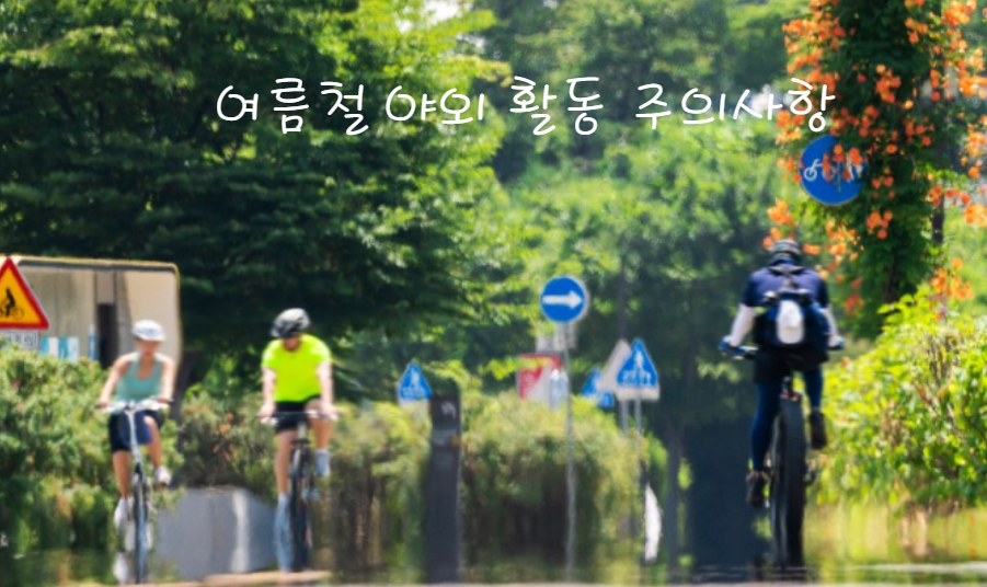 8월 여름철 야외 활동 시 주의사항