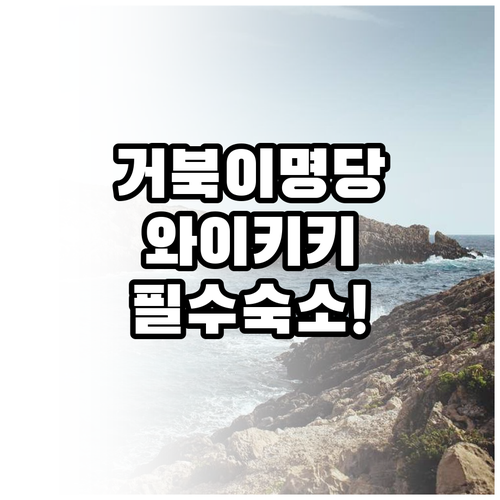 거북이 명당 카이마나 비치와 쇼핑 중..