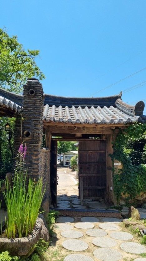 생방송투데이 스카이바이크&amp;#44; 쌍산재&amp;#44; 향나무숲