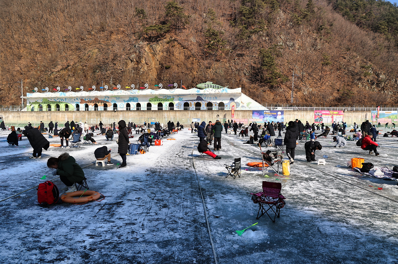 화천 산천어축제
