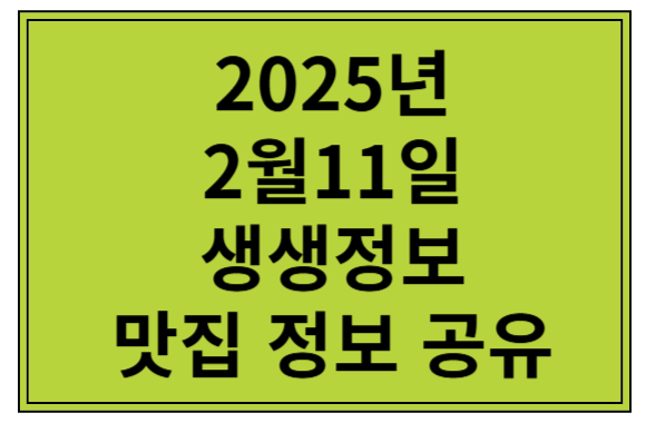 2025년 2월 11일 생생정보 맛집 쇼유라멘 마제소바 순댓국 정선여행