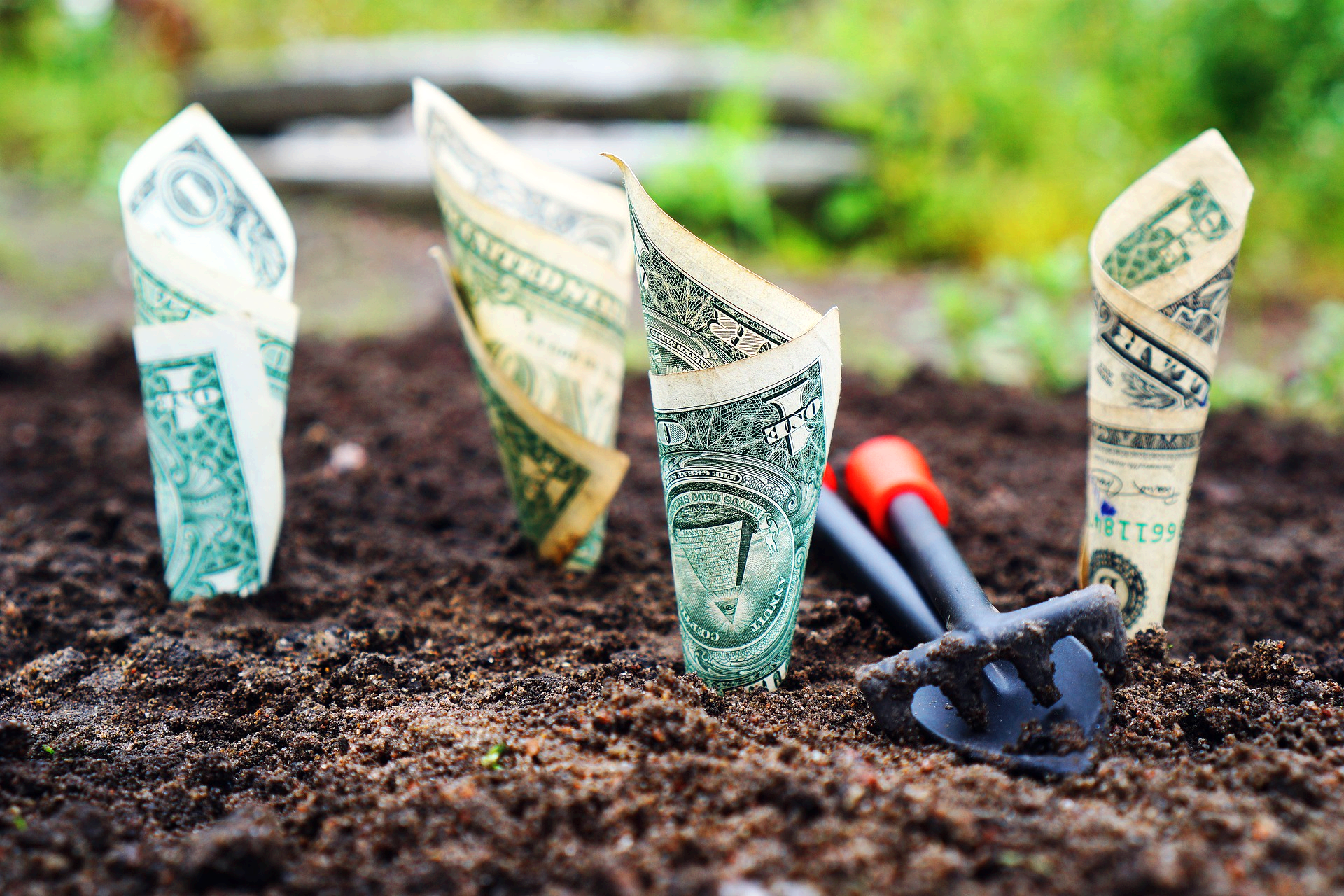 소상공인 정책자금