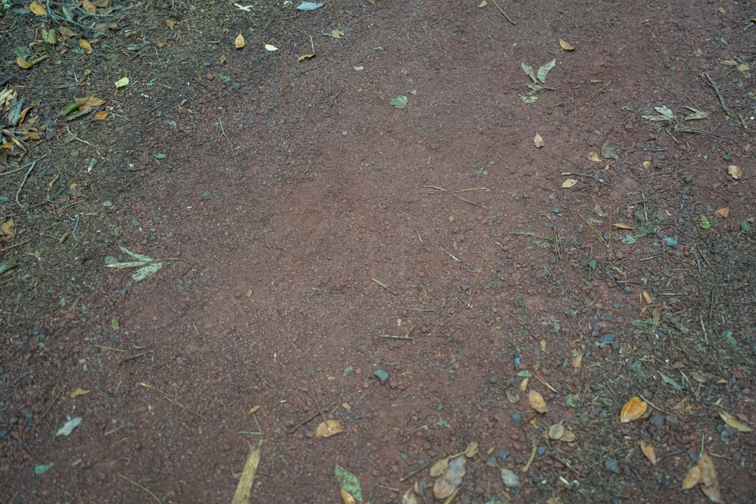 이승악 오름 탐방로