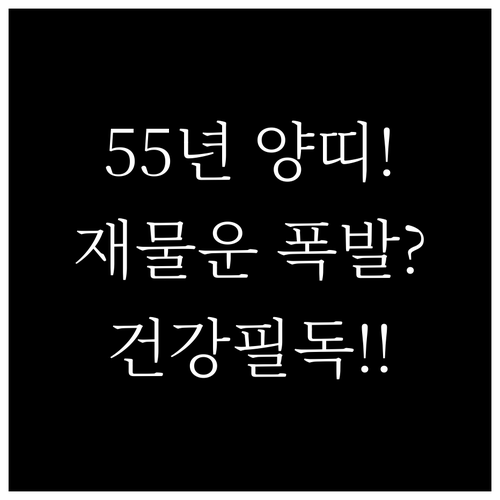 2026년 2월 1955년생 양띠 운..