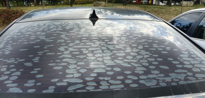 자동차 썬팅필름