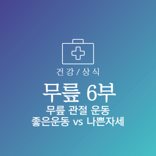 무릎관절 좋은 운동 나쁜 자세