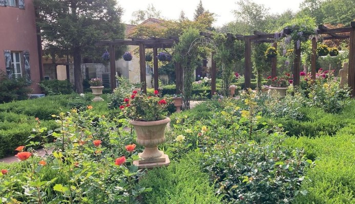 고성 하늬 라벤더팜