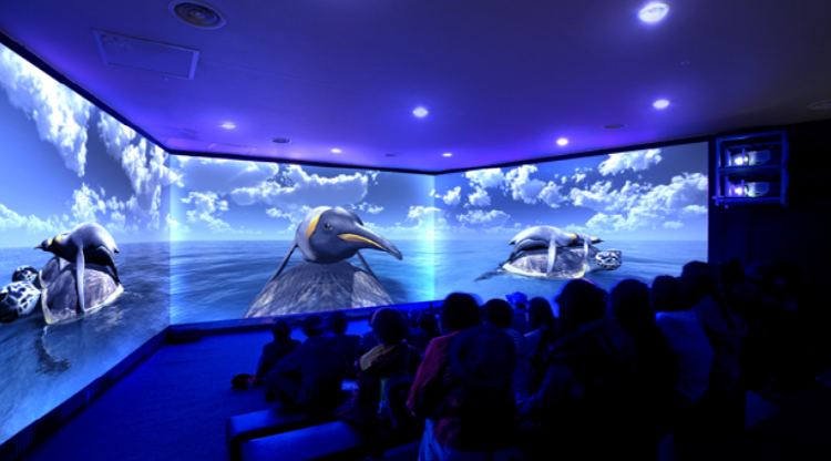 여수 아쿠아플라넷